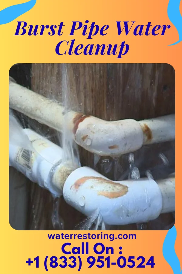 Burst Pipe Water Cleanup in Gold Key Lake, PA