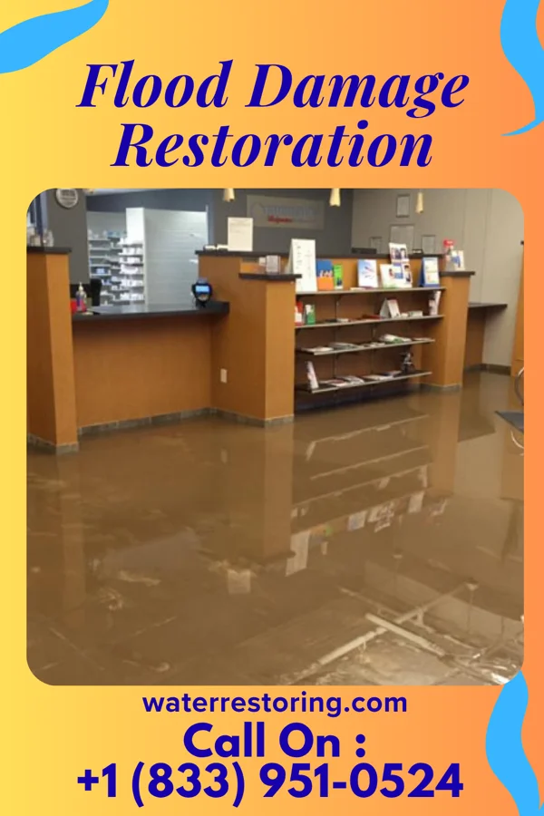 Flood Damage Restoration in Gold Key Lake, PA