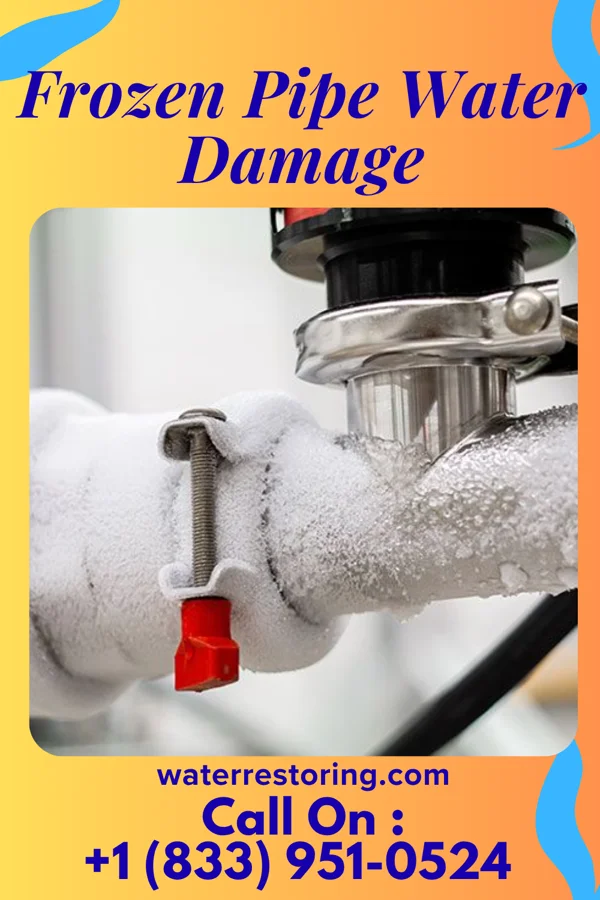 Frozen Pipe Water Damage in Gold Key Lake, PA