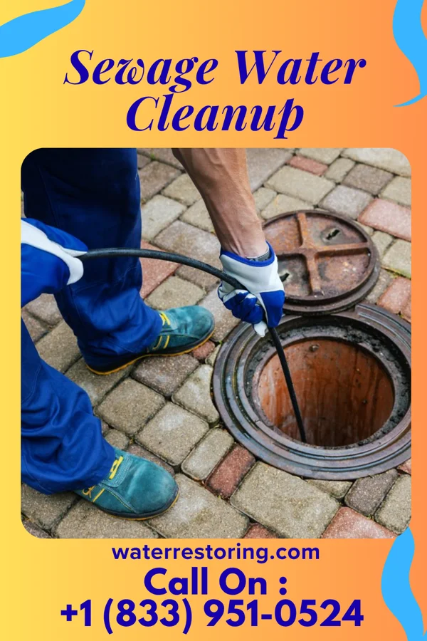 Sewage Water Cleanup in Gold Key Lake, PA