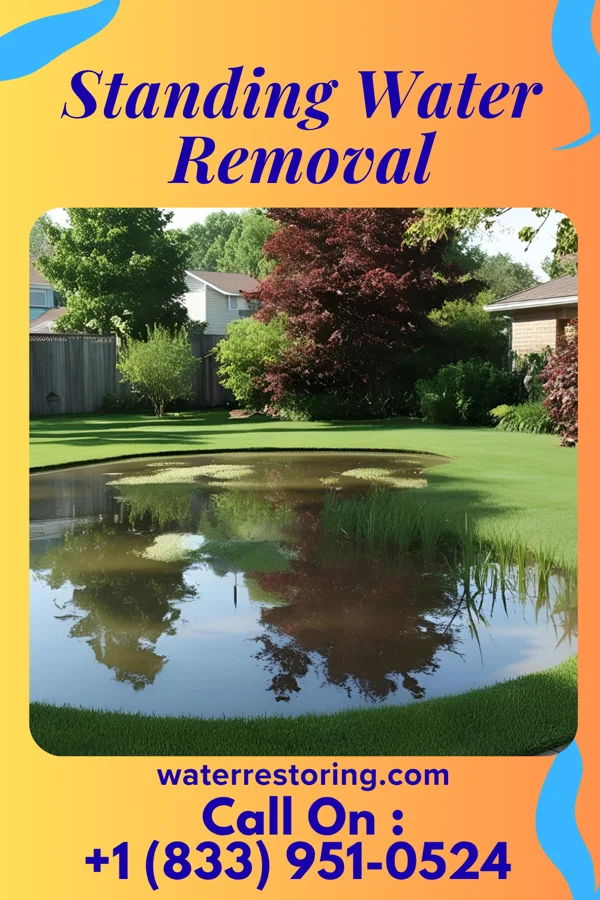 Standing Water Removal in Gold Key Lake, PA